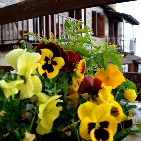 Affittacamere Nymfes